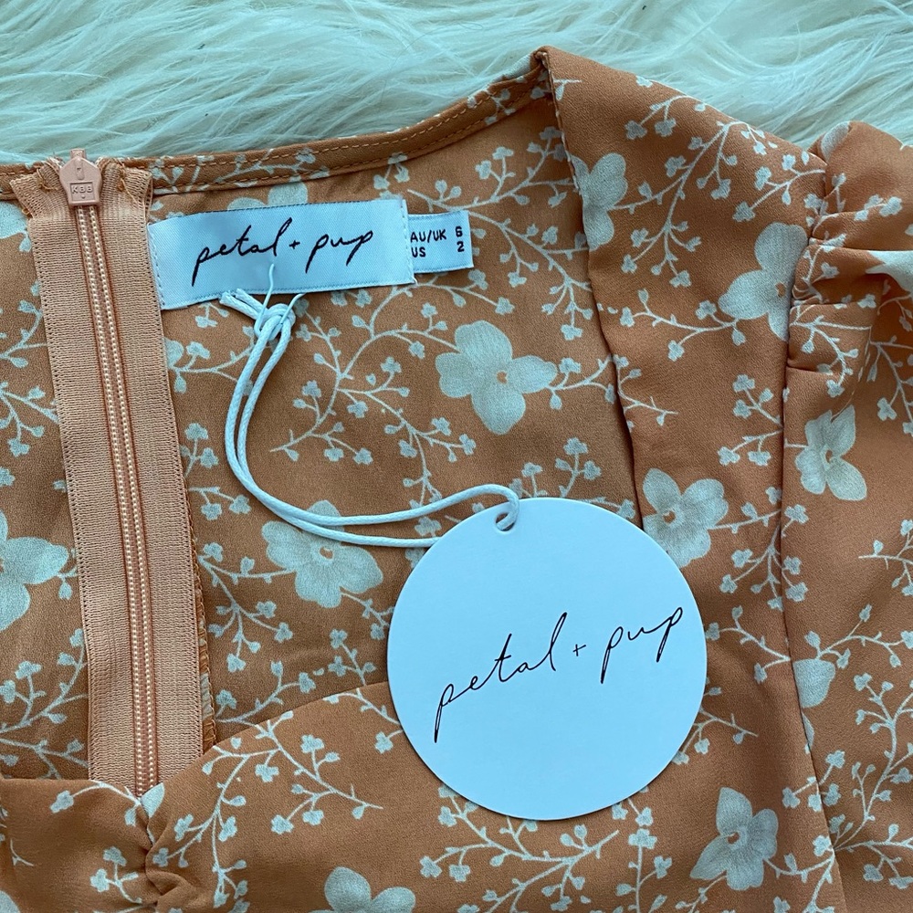 Petal & Pup Orange Floral Midi Dress - Picture 11 of 12